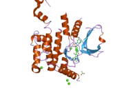 2j7t: CRYSTAL STRUCTURE OF HUMAN SERINE THREONINE KINASE-10 BOUND TO SU11274