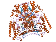 2j9f: HUMAN BRANCHED-CHAIN ALPHA-KETOACID DEHYDROGENASE-DECARBOXYLASE E1B