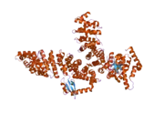 2jdq: C-TERMINAL DOMAIN OF INFLUENZA A VIRUS POLYMERASE PB2 SUBUNIT IN COMPLEX WITH HUMAN IMPORTIN ALPHA5