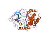 2jdt: STRUCTURE OF PKA-PKB CHIMERA COMPLEXED WITH ISOQUINOLINE-5-SULFONIC ACID (2-(2-(4-CHLOROBENZYLOXY) ETHYLAMINO)ETHYL) AMIDE