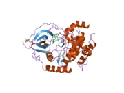 2jdv: STRUCTURE OF PKA-PKB CHIMERA COMPLEXED WITH A-443654