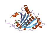 2jgb: STRUCTURE OF HUMAN EIF4E HOMOLOGOUS PROTEIN 4EHP WITH M7GTP