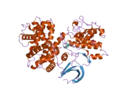 2jgz: CRYSTAL STRUCTURE OF PHOSPHO-CDK2 IN COMPLEX WITH CYCLIN B