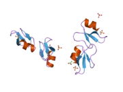 2nlc: Human beta-defensin-1 (mutant Ser8Ala)