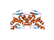 2nn2: Crystal structure of the BTB domain from the LRF/ZBTB7 transcriptional regulator