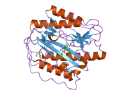 2nq6: Crystal structure of human methionine aminopeptidase type 1 in complex with 3-tert-Butoxycarbonylaminopyridine-2-carboxylic acid thiazole-2-ylamide