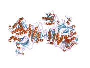 2nut: Crystal Structure of the human Sec23a/24a heterodimer, complexed with the SNARE protein Sec22b