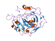 2nwp: Structural and kinetic effects of hydrophobic mutations in the active site of human carbonic anhydrase II