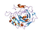 2nwy: Structural and kinetic effects of hydrophobic mutations on the active site of human carbonic anhydrase II