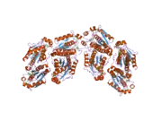 2ofw: Crystal structure of the APSK domain of human PAPSS1 complexed with 2 APS molecules