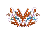 2ofx: crystal structure of the APSK domain of human PAPSS1 in complex with ADPMg and PAPS