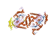 2oh2: Ternary Complex of Human DNA Polymerase