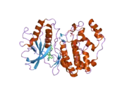 2oji: Crystal structure of ERK2 in complex with N-benzyl-4-(4-(3-chlorophenyl)-1H-pyrazol-3-yl)-1H-pyrrole-2-carboxamide