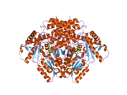 2okj: The X-ray crystal structure of the 67kDa isoform of Glutamic Acid Decarboxylase (GAD67)