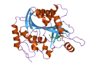 2on6: Crystal structure of human purine nucleoside phosphorylase mutant H257F with Imm-H