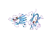 2orx: Structural Basis for Ligand Binding and Heparin Mediated Activation of Neuropilin