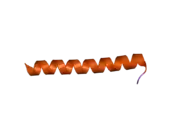 2ovc: Crystal structure of a coiled-coil tetramerization domain from Kv7.4 channels