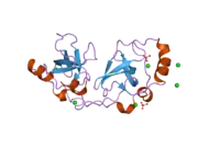 2p0k: Crystal structure of SCMH1