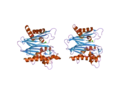 2p8e: Crystal structure of the serine/threonine phosphatase domain of human PPM1B