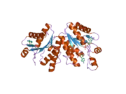 2pey: Crystal structure of deletion mutant of APS-kinase domain of human PAPS-synthetase 1