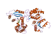 2pgl: Catalysis associated conformational changes revealed by human CD38 complexed with a non-hydrolyzable substrate analog