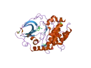 2uw5: STRUCTURE OF PKA-PKB CHIMERA COMPLEXED WITH (R)-2-(4-CHLORO-PHENYL)-2-(4-1H-PYRAZOL-4-YL)-PHENYL)-ETHYLAMINE