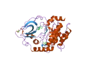 2uw7: STRUCTURE OF PKA-PKB CHIMERA COMPLEXED WITH 4-(4-CHLORO-PHENYL)-4-(4-(1H-PYRAZOL-4-YL)-PHENYL)-PIPERIDINE