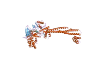 2v1d: STRUCTURAL BASIS OF LSD1-COREST SELECTIVITY IN HISTONE H3 RECOGNITION