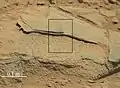 "Ithaca" rock on Mars – target of the ChemCam laser analyzer on Curiosity  (October 30, 2013; closeup).