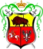 Coat of arms of Drohiczyn