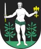 Coat of arms of Gmina Nidzica