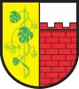 Witnica