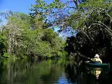 Paddling on the Hillsborough River