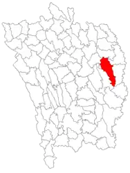 Location in Vaslui County