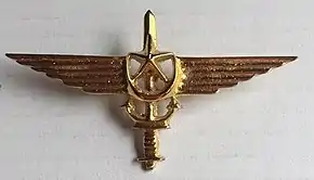 Navy badge