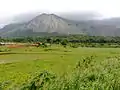 Palghat Gap as seen from Palghat-Chitoor Road