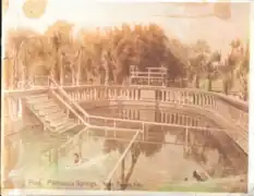 Palma Ceia springs original pool 1906