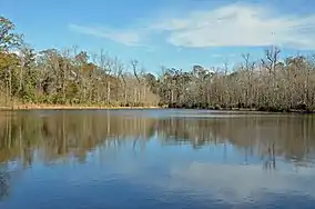 A picture of a lake with dormant trees in the back