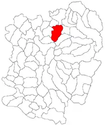 Location in Caraș-Severin County