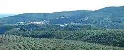 Panoramic view of Fuencaliente town