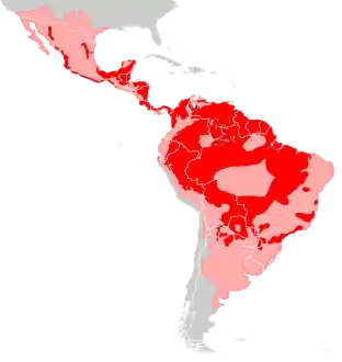 Distribution of jaguars; pink indicates former range.