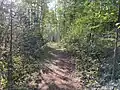 Trail