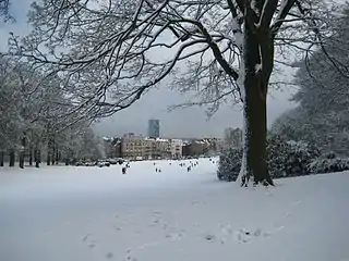 Forest/Vorst Park in Brussels