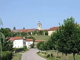 A general view of Parey-sous-Montfort