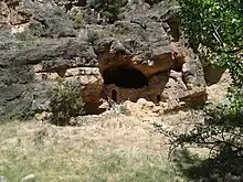 Image 3Farrowing site in a natural cave in northern Spain (from Livestock)