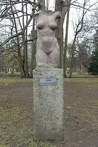 Torso, Park Oliwski