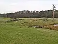 The remains of Park Pit in an ancient field called the Long Ing.