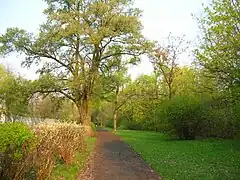 A view of the park on Wolności Hill