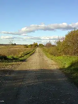 Unpaved road in Parowa