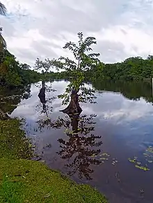 Punta Izopo National Park